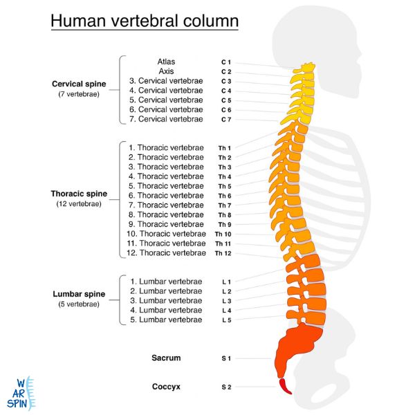 Dr. Shekhar Bhojraj - Best spine surgeon in India.