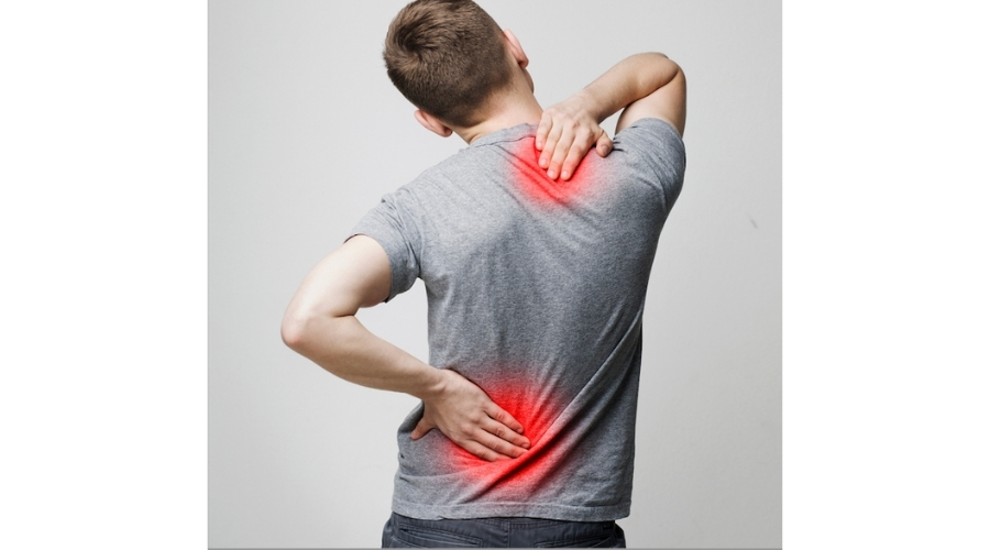 Back Pain Exercises at Home