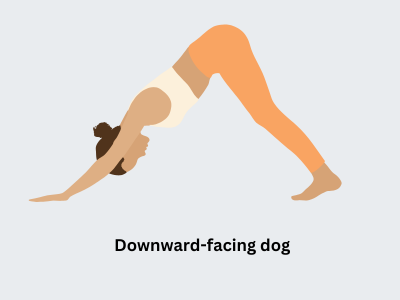 Downward-facing dog yoga pose for sciatic nerve pain and improved blood flow.