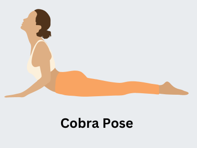 Cobra pose for spine flexibility and sciatica pain relief.