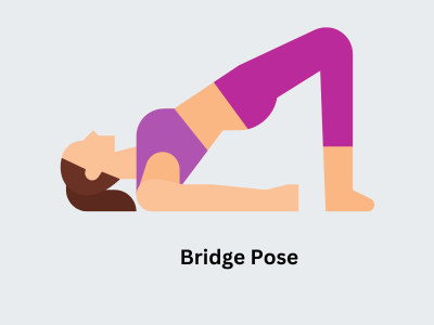 Bridge pose for strengthening core muscles and improving lower back health.