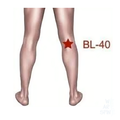 Precise location of BL40 point to ease sciatica radiating down the leg