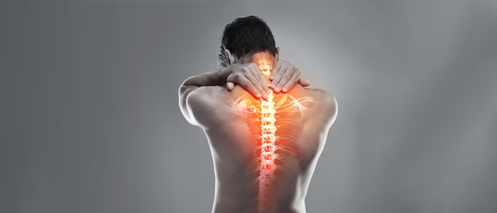 3. Maintaining a Healthy Spine Tips for a Strong and Flexible Back