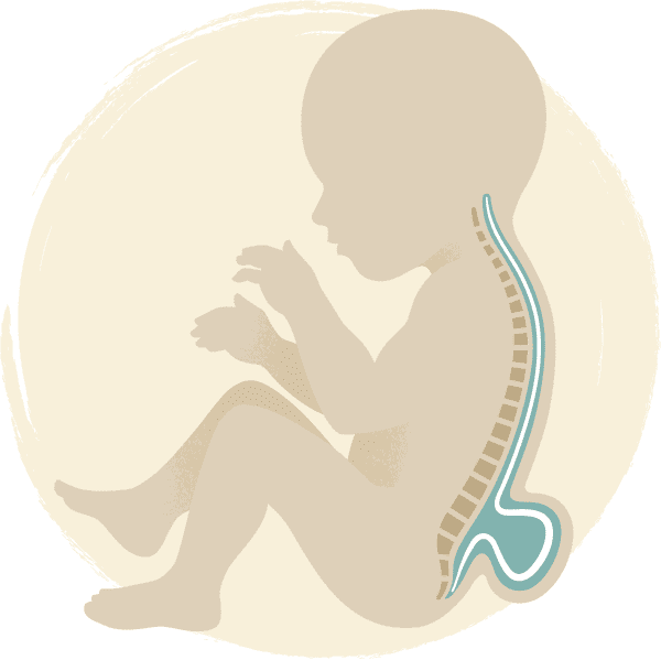 spine disorder